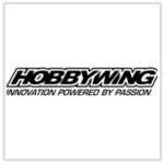 Hobby wing
